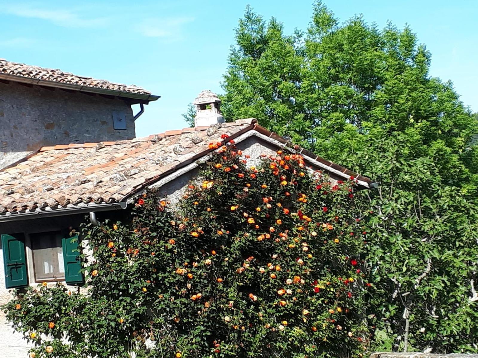 Bed and Breakfast La Corte Bonomini Neviano degli Arduini Экстерьер фото