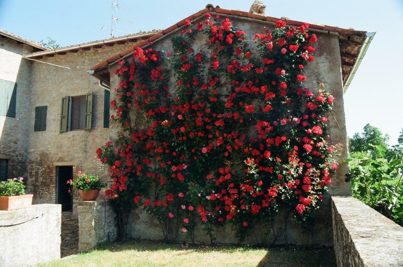 Bed and Breakfast La Corte Bonomini Neviano degli Arduini Экстерьер фото