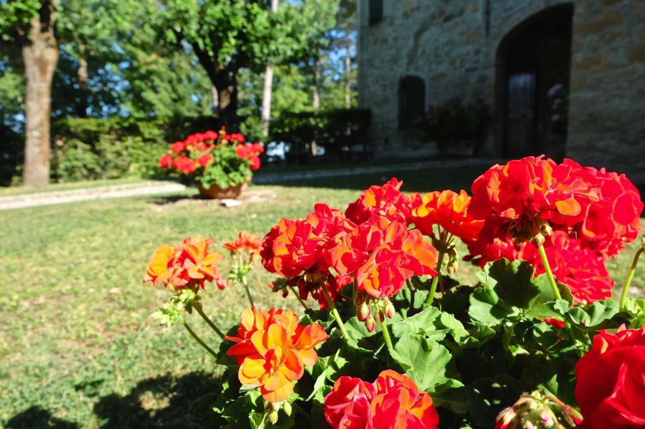 Bed and Breakfast La Corte Bonomini Neviano degli Arduini Экстерьер фото